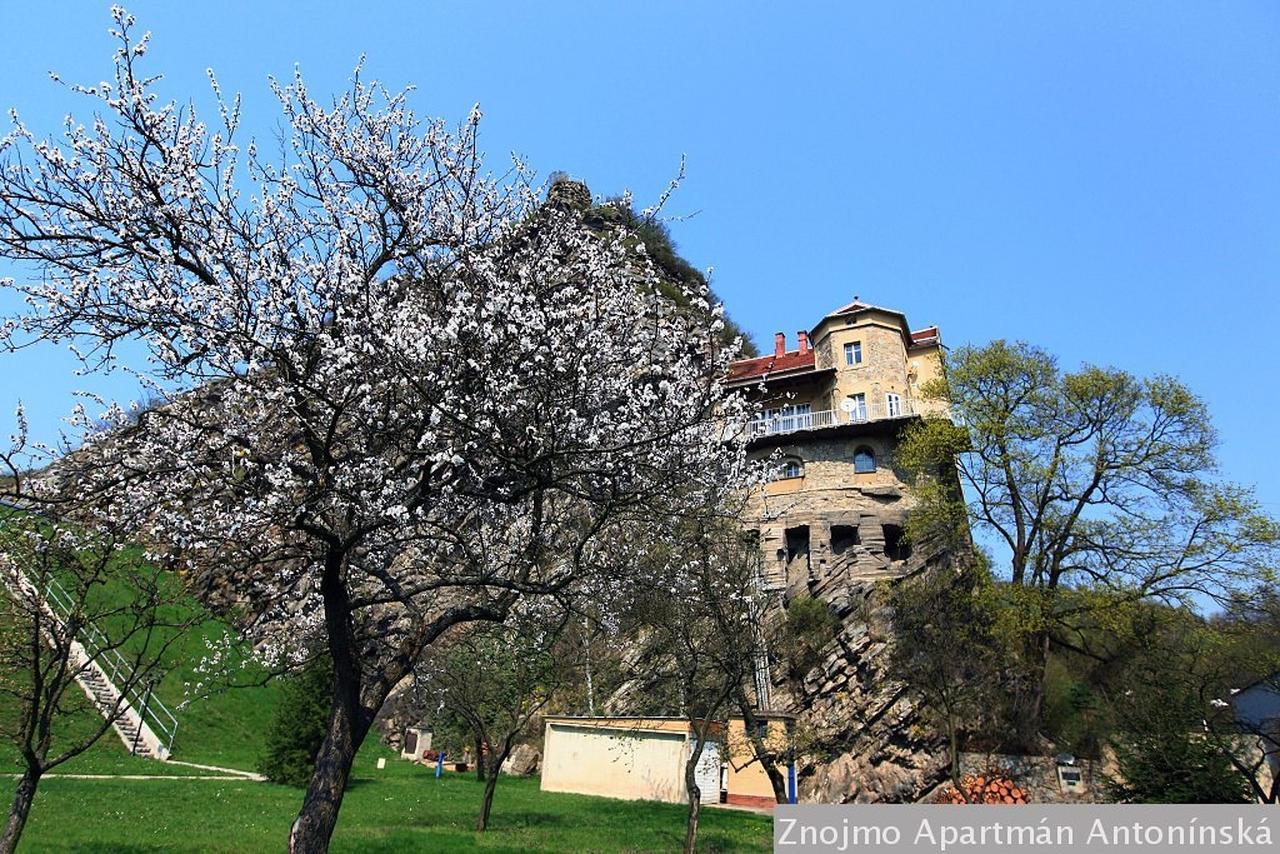Apartmán Antonínská Znojmo Exteriér fotografie
