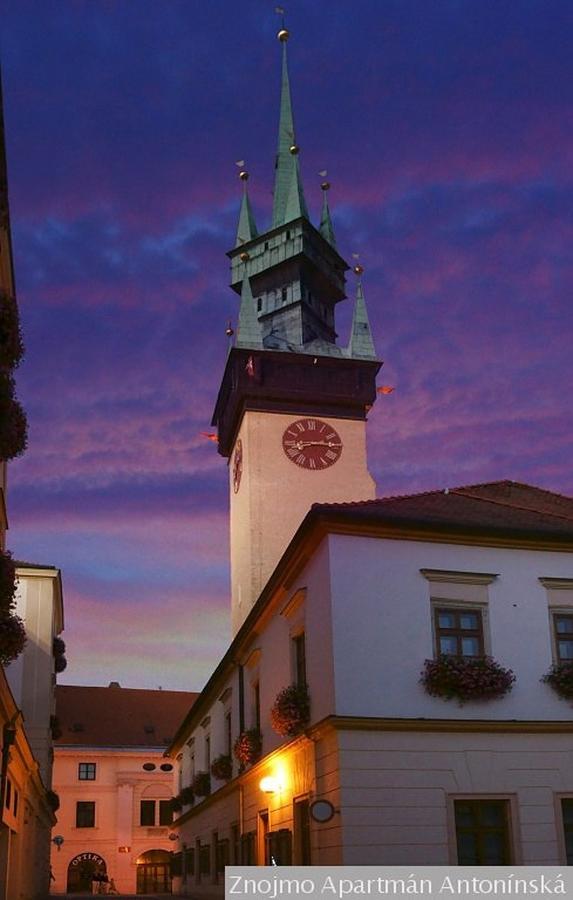 Apartmán Antonínská Znojmo Exteriér fotografie